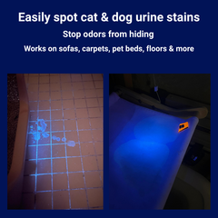 MomooPet™ /Pet Skin Fungus Detector with Treatment Tips